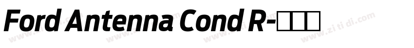 Ford Antenna Cond R字体转换